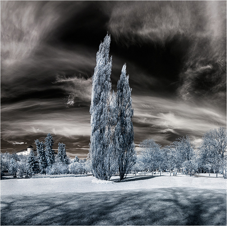 Emerging Photographers, Best Photo of the Day in Emphoka by Peter Cohn Emerging Photographers, Best Photo of the Day in Emphoka by Peter Cohn