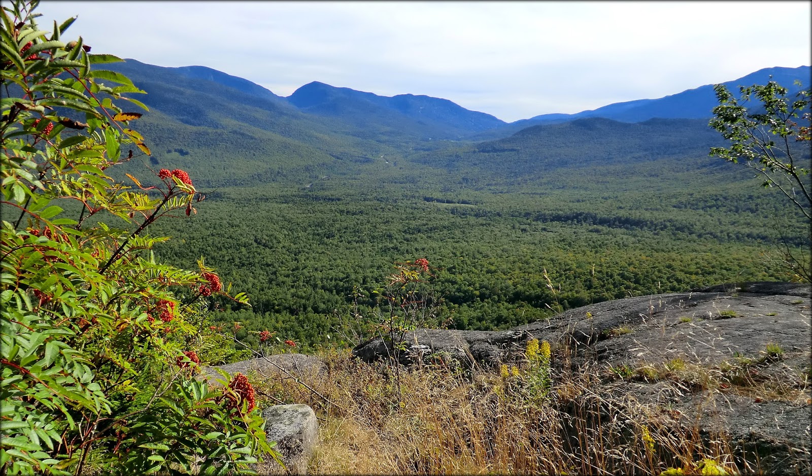 2mile Loop Hike To Pine Mountain Gorham Nh Pine Mountain Hiking White Mountains