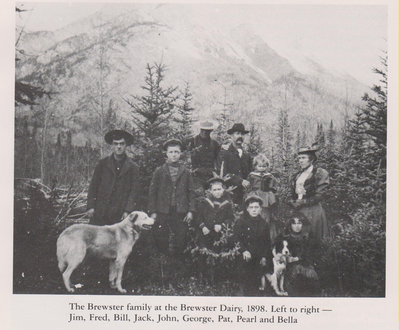 Brewster and related families....