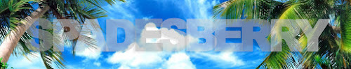 spadesberry logo for contact window