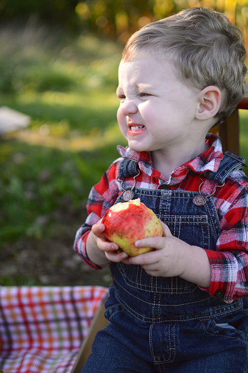 Apple picking | My Darling Days Apple picking | My Darling Days