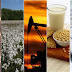 Come Investire in Oro 10 Passi per Diventare Ricchi