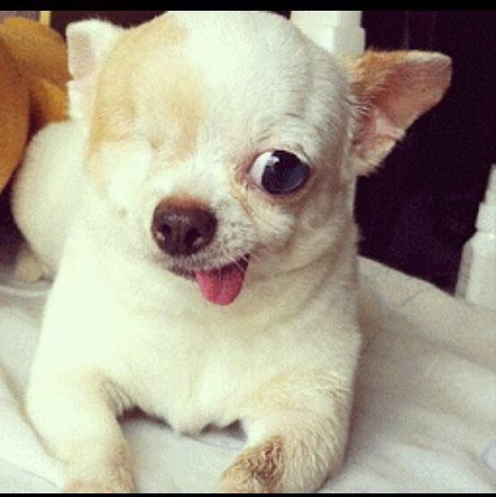 Ms Peaches Ms Peaches