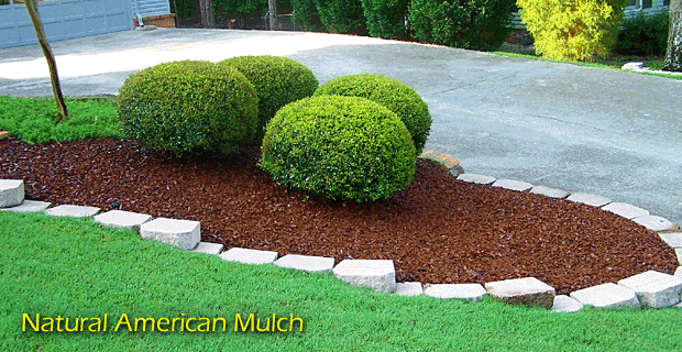 8 Types Of Mulches From Mother Earth