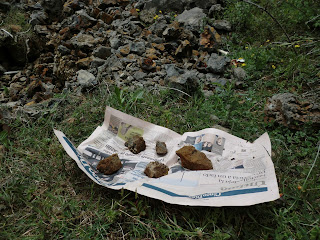 Cuidando los minerales recién cogidos Cuidando los minerales recién cogidos