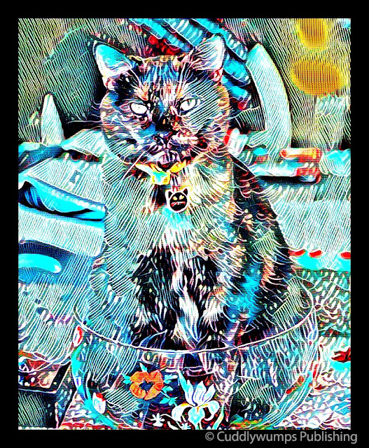 Real Cat Paisley_Acid Boost Jan 2018 #CaturdayArt