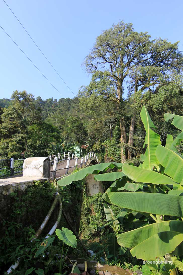 jembatan lengkung lolong pekalongan