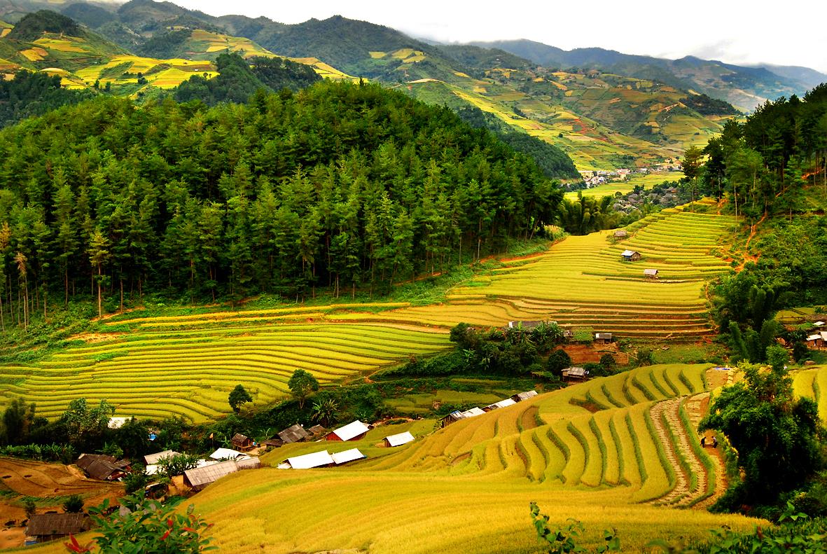 Káº¿t quáº£ hÃ¬nh áº£nh cho Ruá»ng báº­c thang Báº£n ÄÃ´n