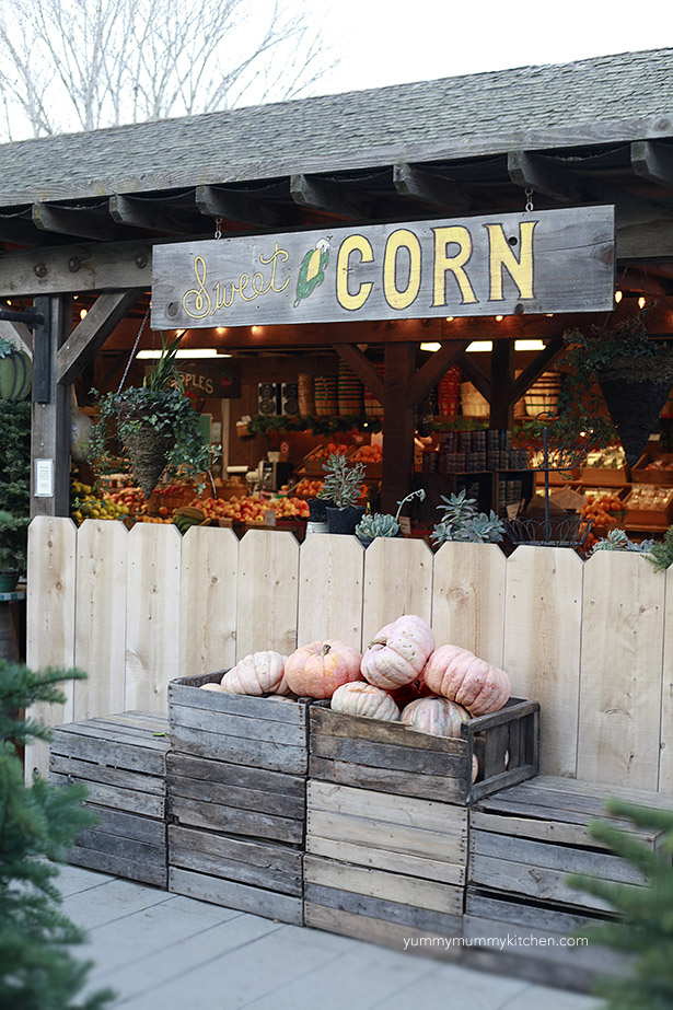 Avila Barn Fall Market Beautiful autumn and winter pumpkins and market.