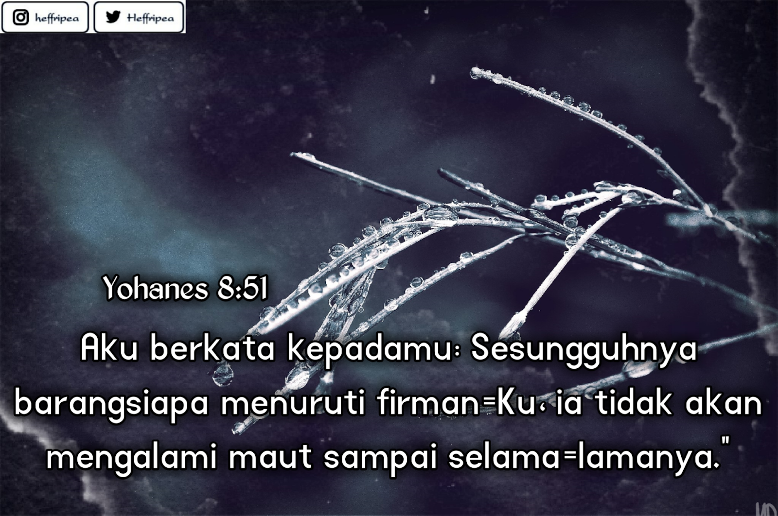 68+ Kata Motivasi Hidup Dalam Alkitab