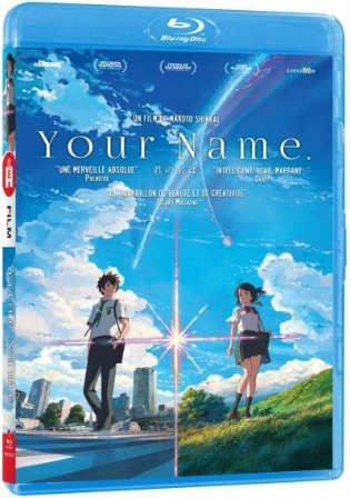 Your Name 2016 WEB-DL Hindi Dual Audio ORG Full Movie Download 1080p 720p 480p