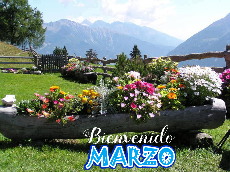 Banco de Imágenes: Bienvenido Marzo !!! Adiós febrero, gracias por todo...  Postales con flores, paisajes y mensajes para compartir en redes sociales.