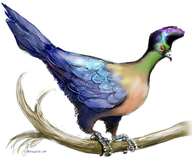 Purple-crested turaco by Artmagenta