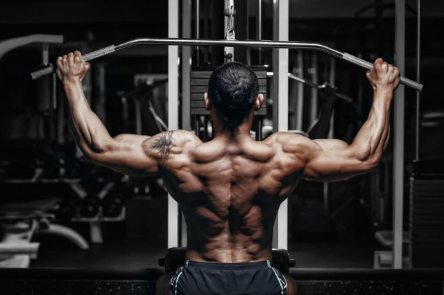 body building workouts