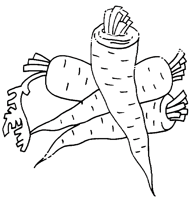Colorea Tus Dibujos Dibujo De Zanahorias Para Colorear