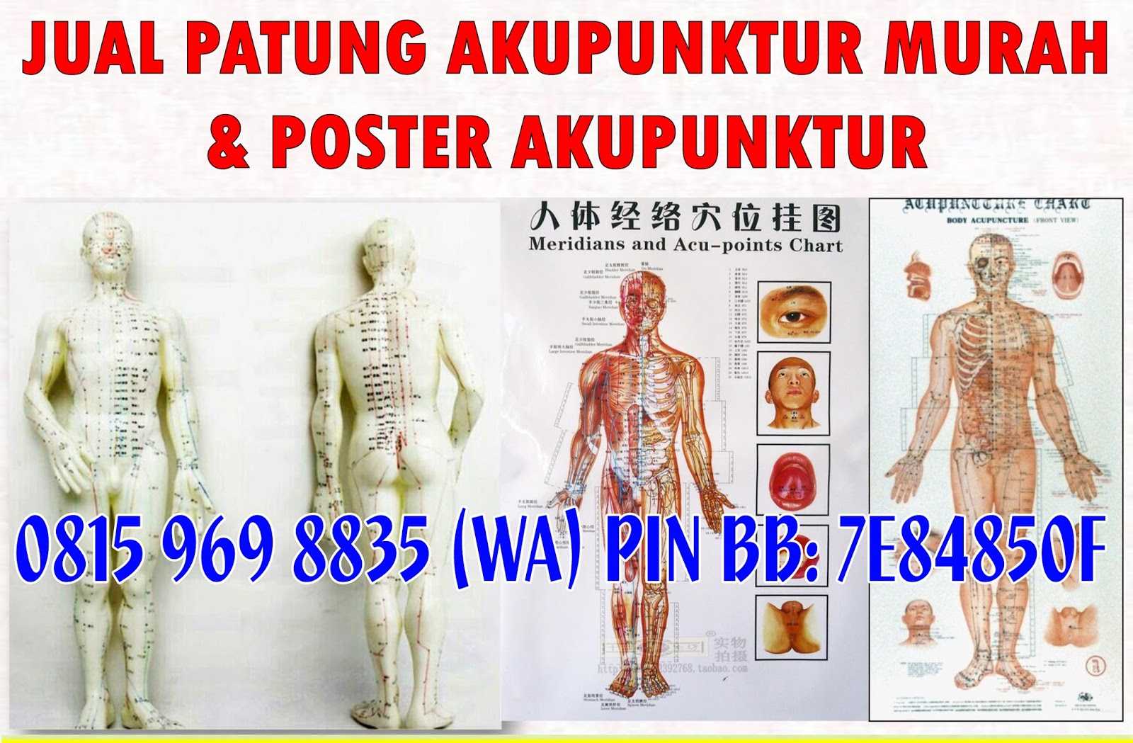 jual patung akupunktur dan poster akupunktur murah di jual patung akupunktur dan poster akupunktur murah di