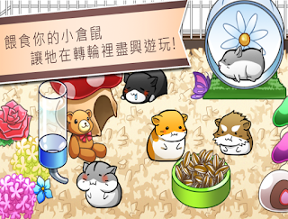 Hamster Life App Hamster Life App