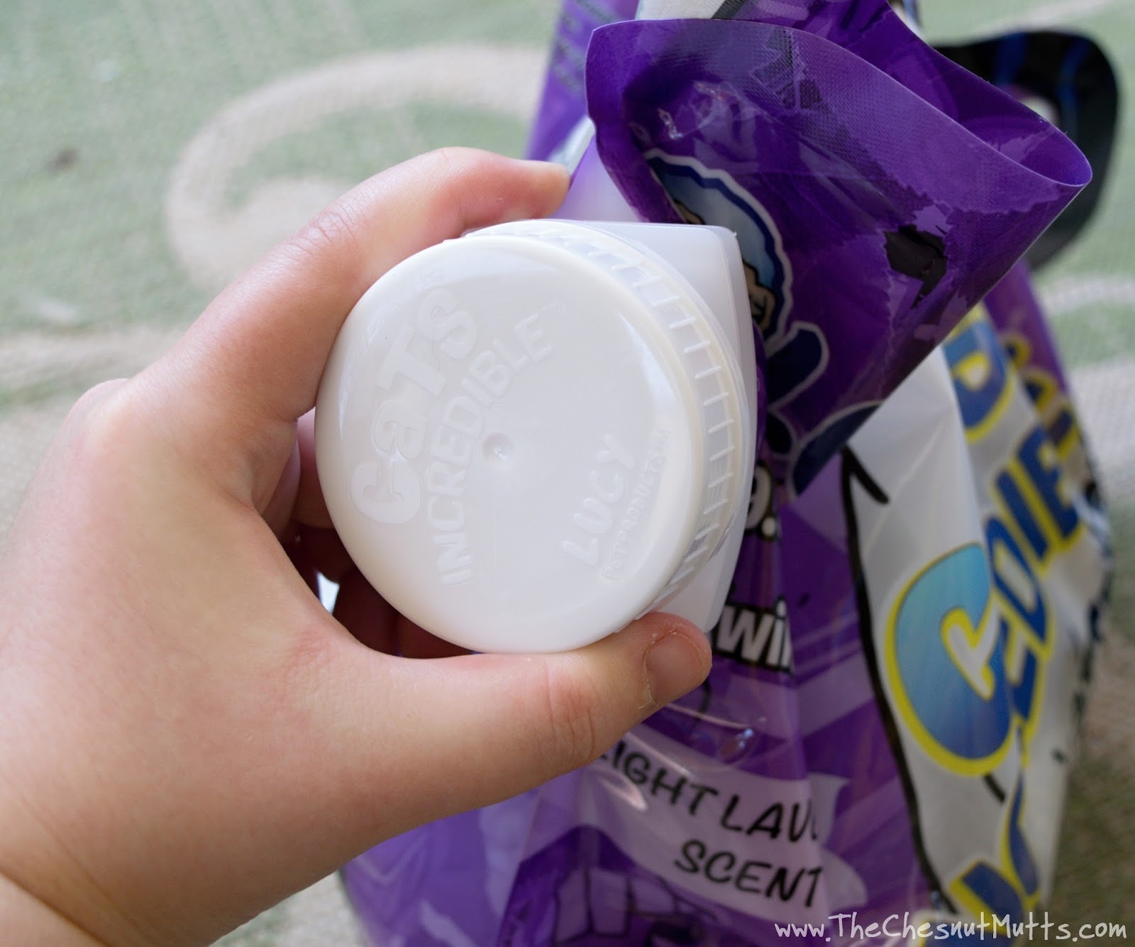 Review & Giveaway What makes Lucy Pet Products™ Cats Incredible™ Cat