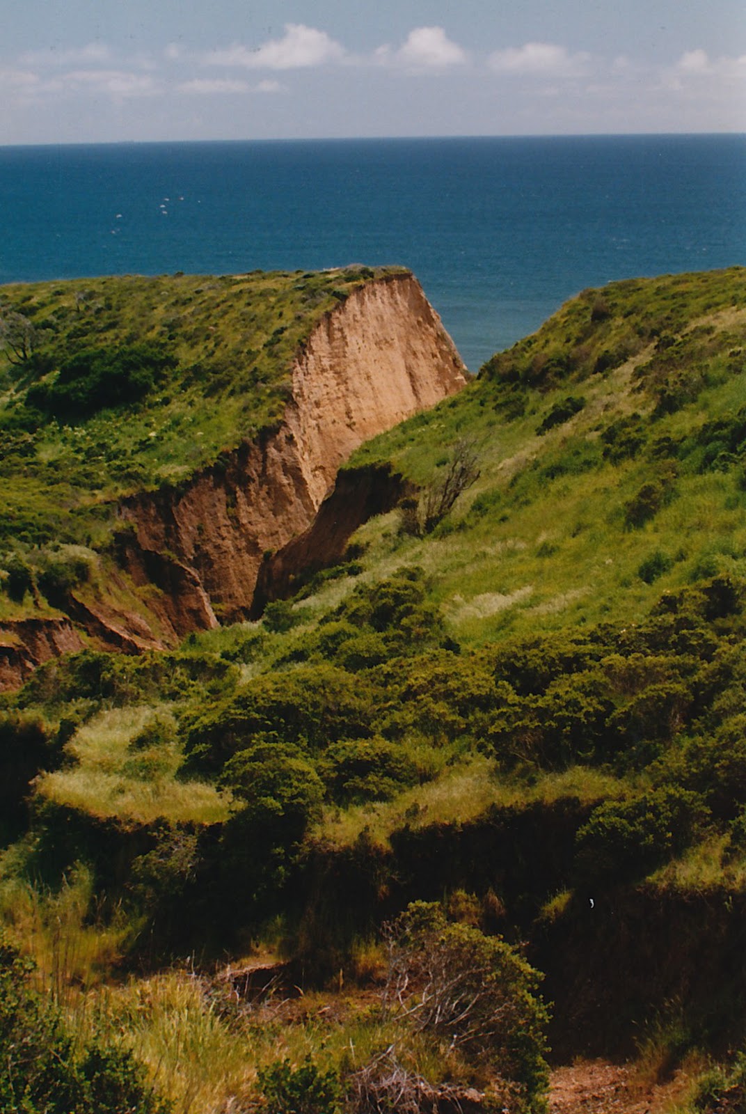 Hidden Hot Spring In Point Reyes The Headlands Report: Point Reyes National Spring