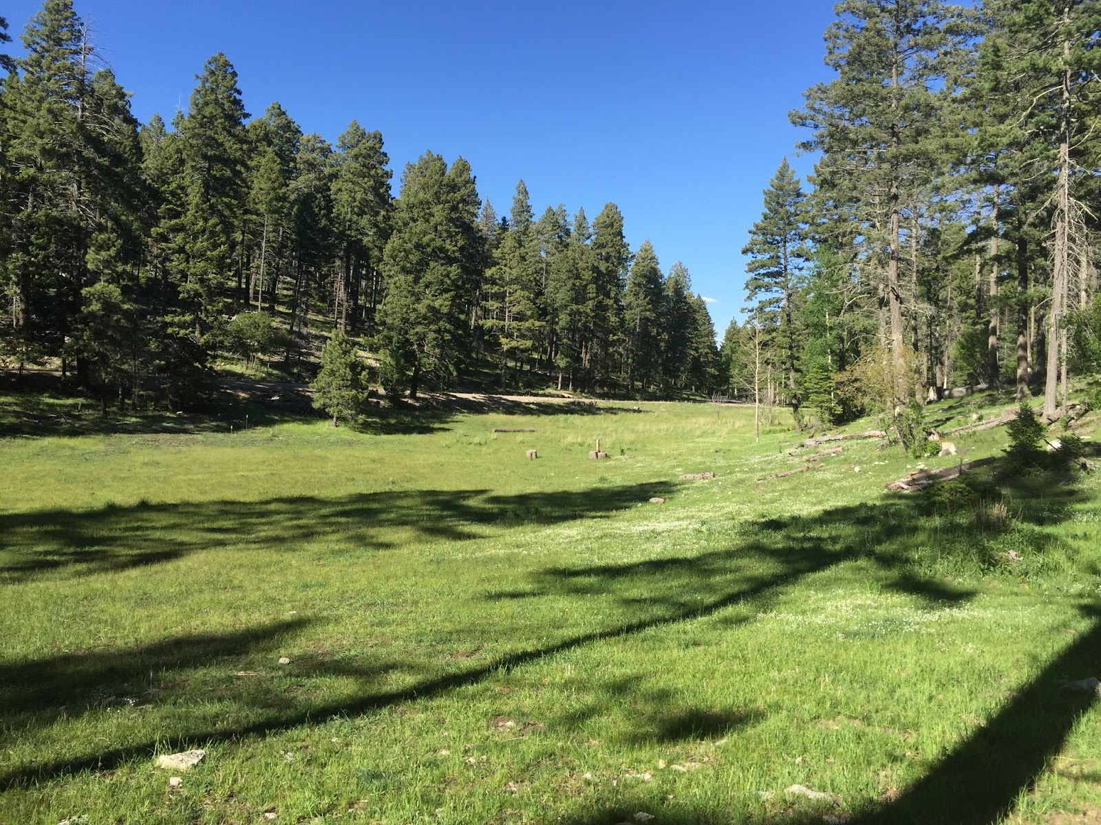 Family Vacation Time Cloudcroft New Mexico