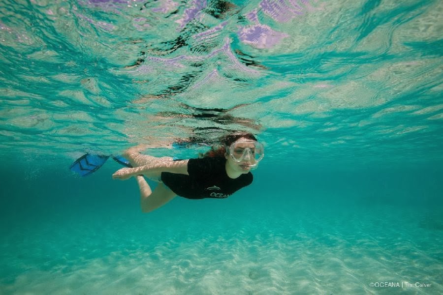 Retro Bikini: Miranda Cosgrove flaunts a Blue Bikini as she dives with