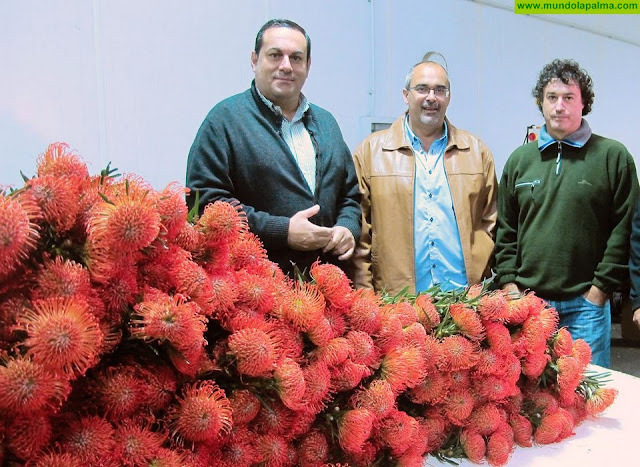 El Cabildo celebra un curso de arte floral con proteas para profesionales del sector