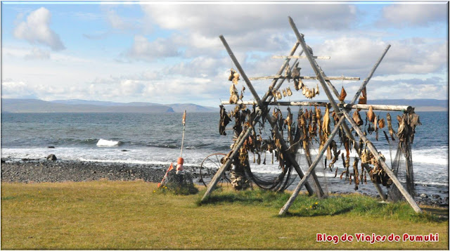 Secadero de pescado Secadero de pescado en el norte de Islandia. Blog de viajes a Islandia