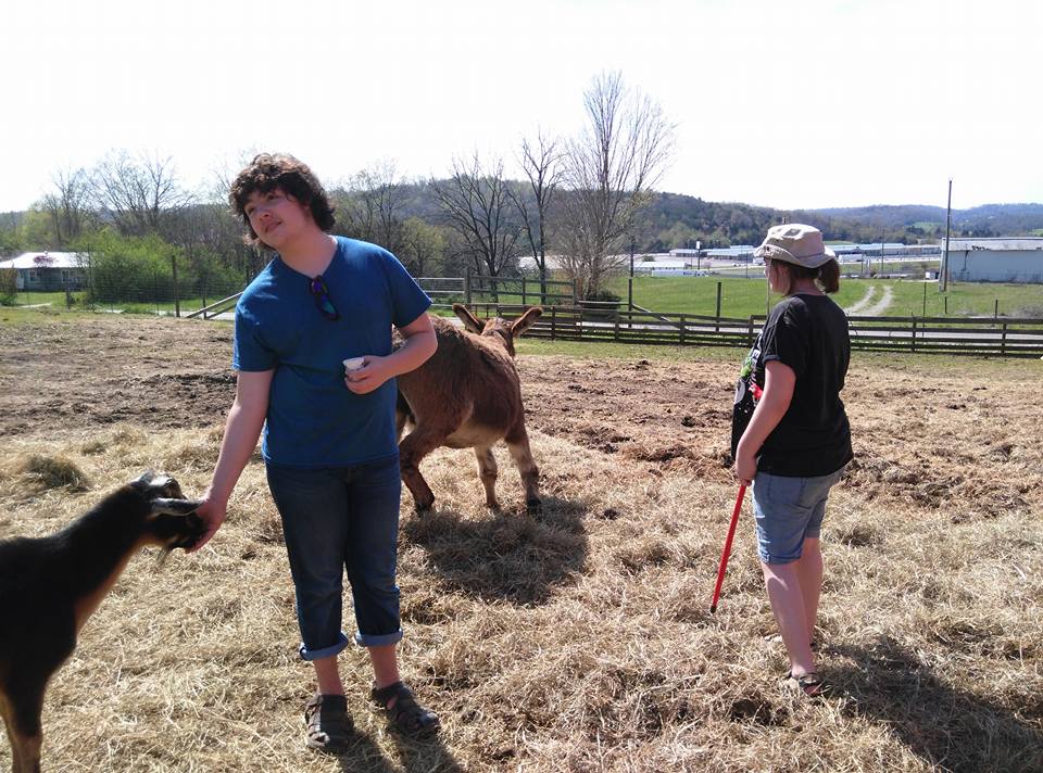 Kentucky Down Under Reviews Petting Zoo Adventures of Kids Creative