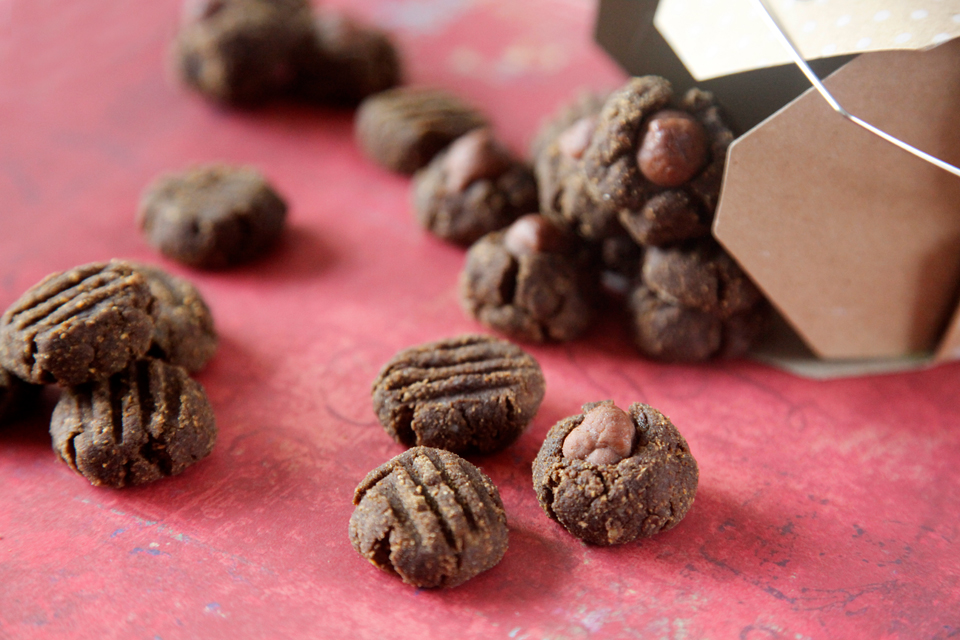 Dalmatian DIY {RECIPE} Blackstrap Molasses and Carob Dog Treats