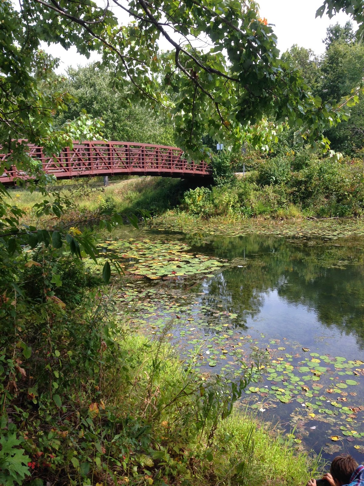 Zoom Times Wordless Wednesday Aquatic Gardens