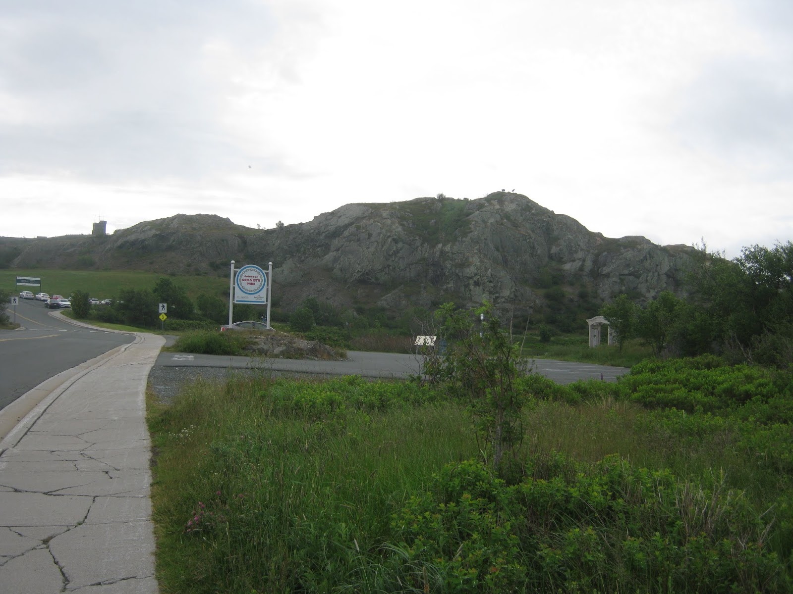 Travel Bug St. John's Newfoundland