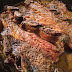Daube of Beef Short Ribs with Horseradish Potato Puree