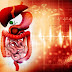 Relationship Between Digestive Problems And Weight Gain