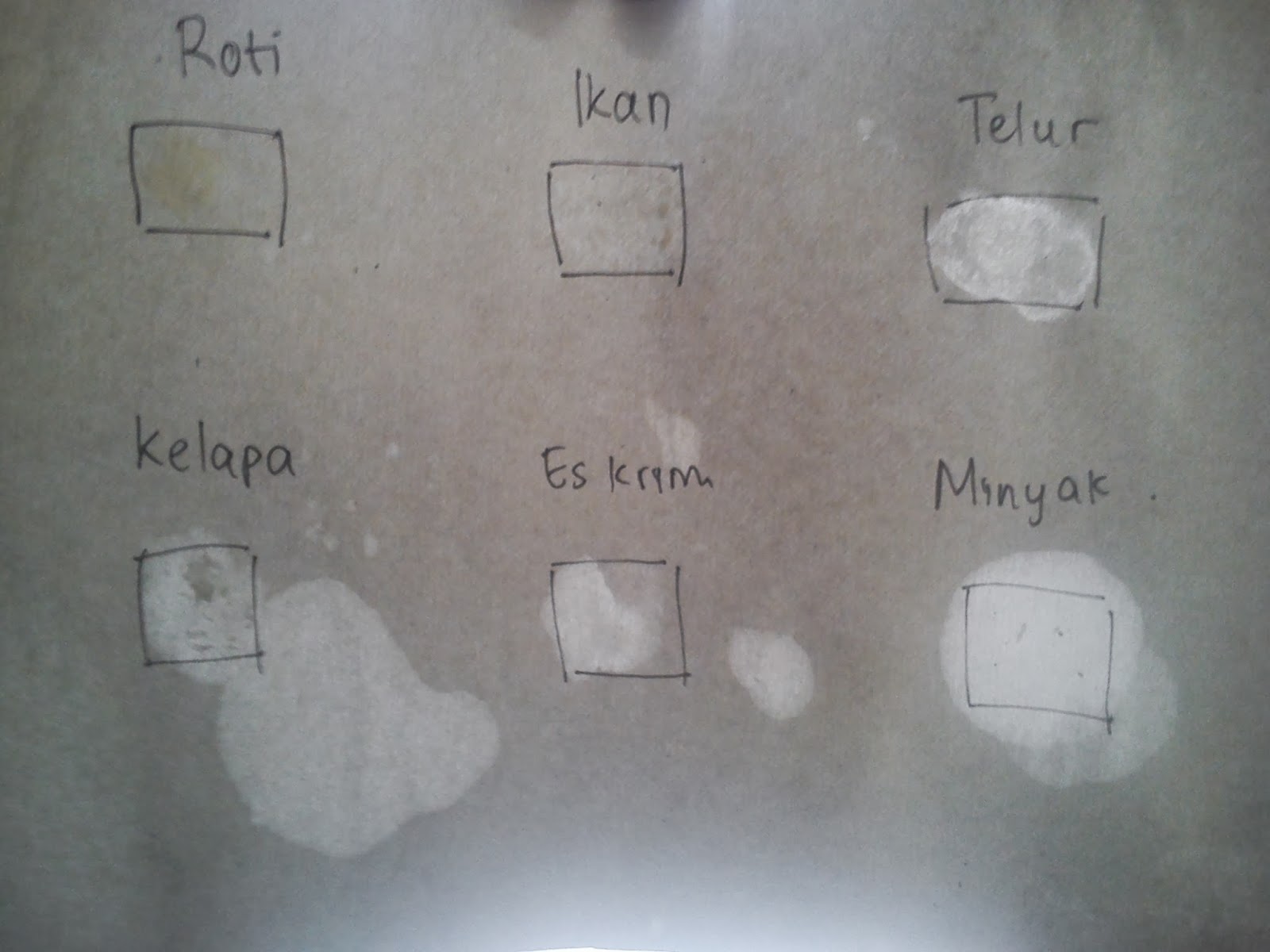 LAPORAN PRAKTIKUM UJI KANDUNGAN MAKANAN NM Blog's