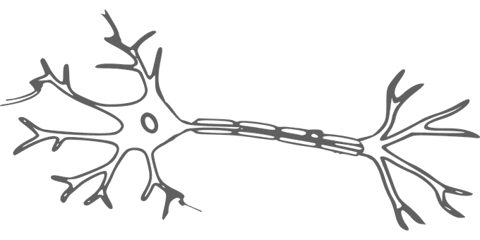 Multiple Sclerosis Treatment - What is MS Symptoms, Causes and Diagnosis Multiple Sclerosis Treatment - What is MS Symptoms, Causes and Diagnosis