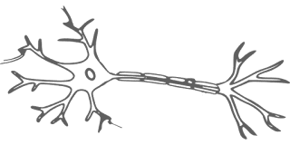 Multiple Sclerosis Treatment - What is MS Symptoms, Causes and Diagnosis Multiple Sclerosis Treatment - What is MS Symptoms, Causes and Diagnosis