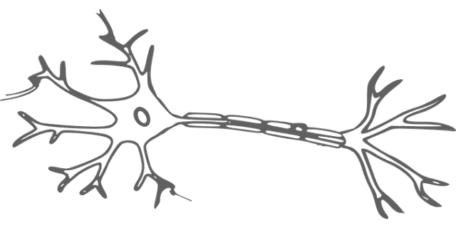 Multiple Sclerosis Treatment - What is MS Symptoms, Causes and Diagnosis Multiple Sclerosis Treatment - What is MS Symptoms, Causes and Diagnosis