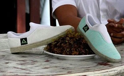 Pioneros de México reciclan los zapatos de algas