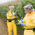 More Reasons NOT to Trust the Feds on GMOs, Pesticides and Chemicals - They've Been Hiding Something BIG!