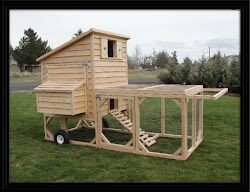 chicken tractor coop greenhouse coops cold none 3x3 portable window above quick gallinas climate visitar houses ponedoras gallineros guardado amica
