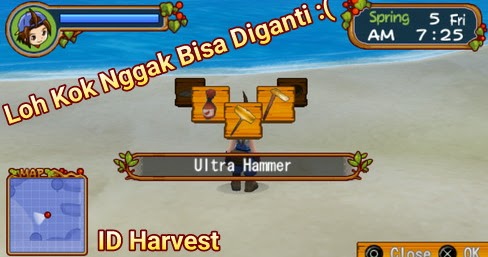 Inilah Yang Terjadi Jika Kamu Ngecheat Di Harvest Moon Hero Of Leaf Valley Id Harvest