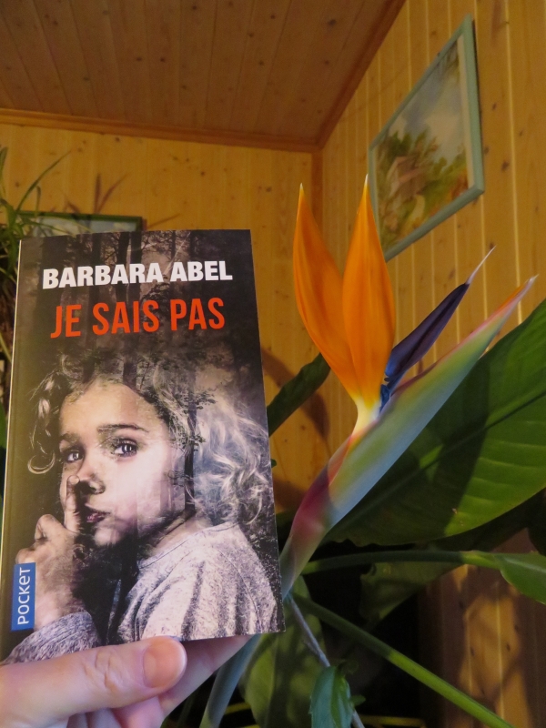 Je sais pas barbara promo abel
