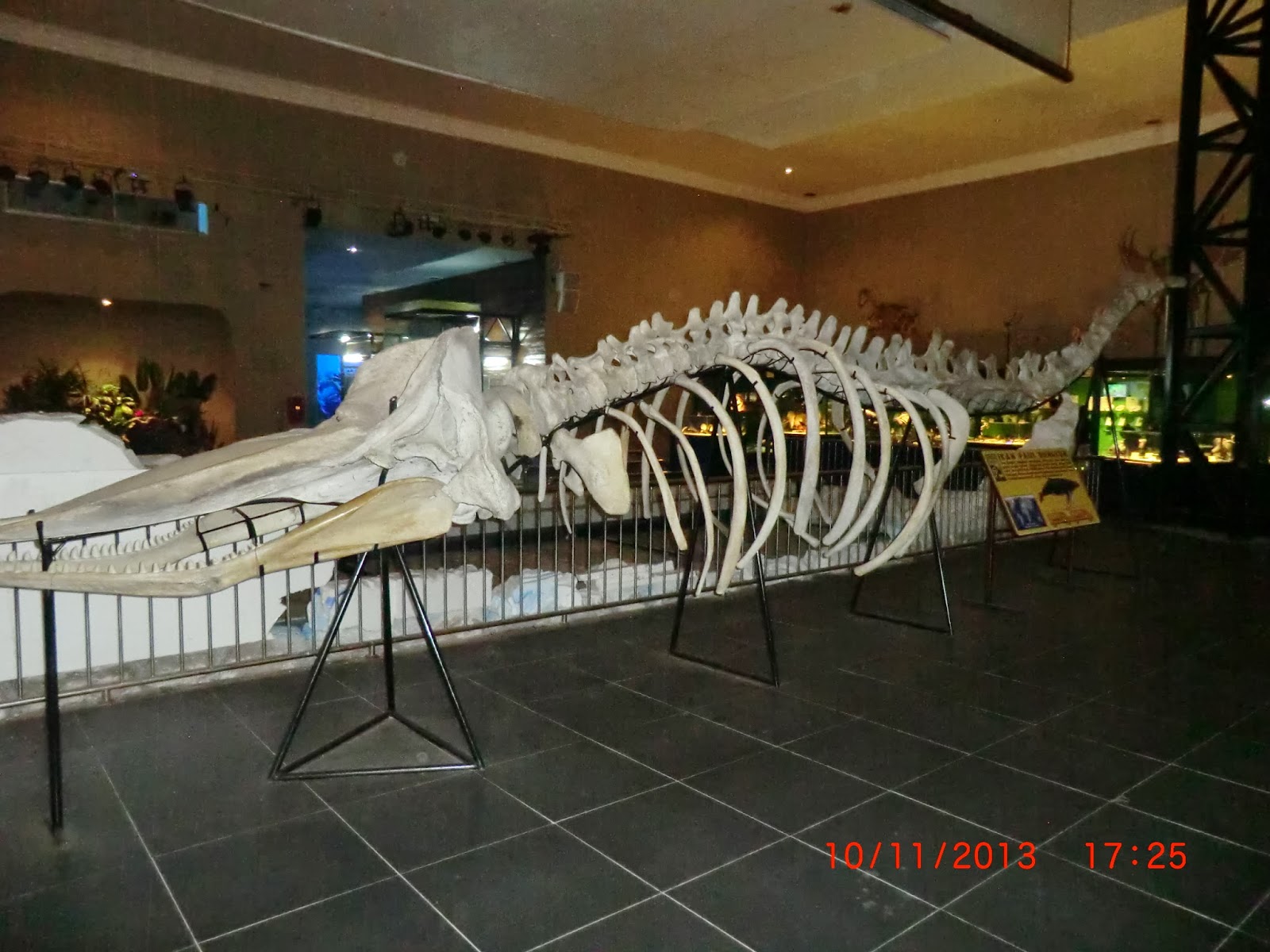 Museum trip. Museum trip