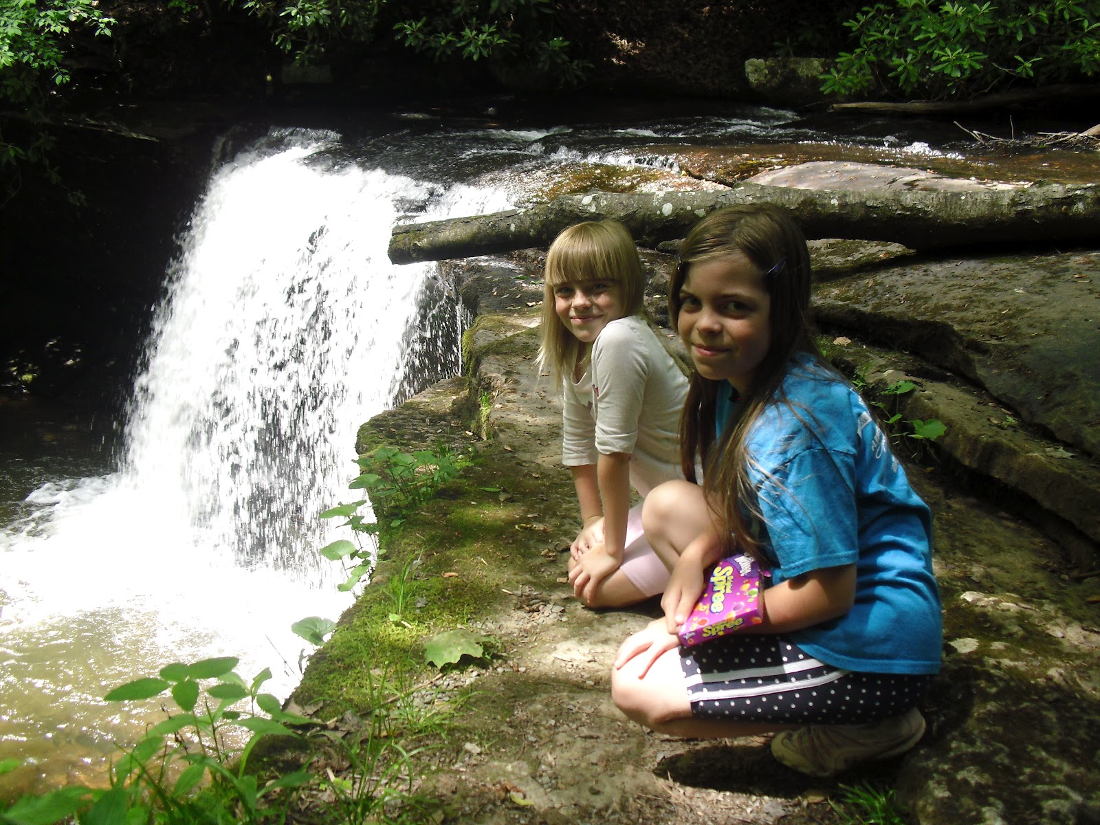 Love 2 Travel With Kids Clinch Mountain Wildlife Management Area in