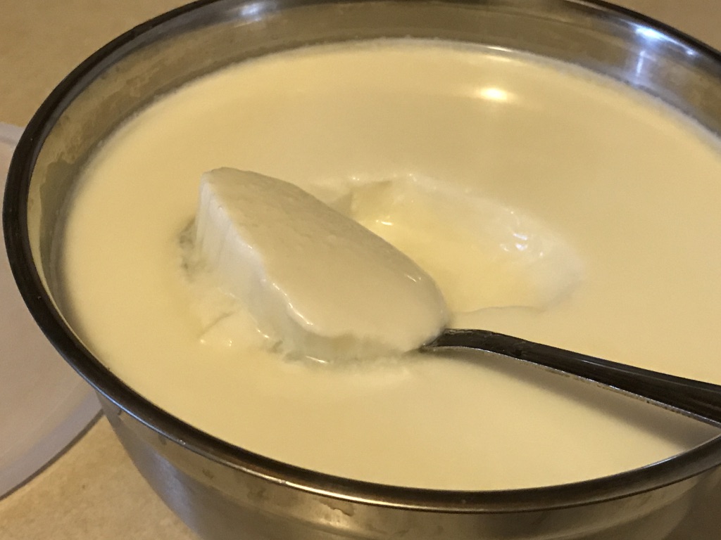 Viki 's Kitchen Indian curd yogurt