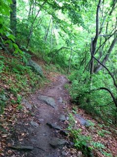 Blackwater Creek Trails