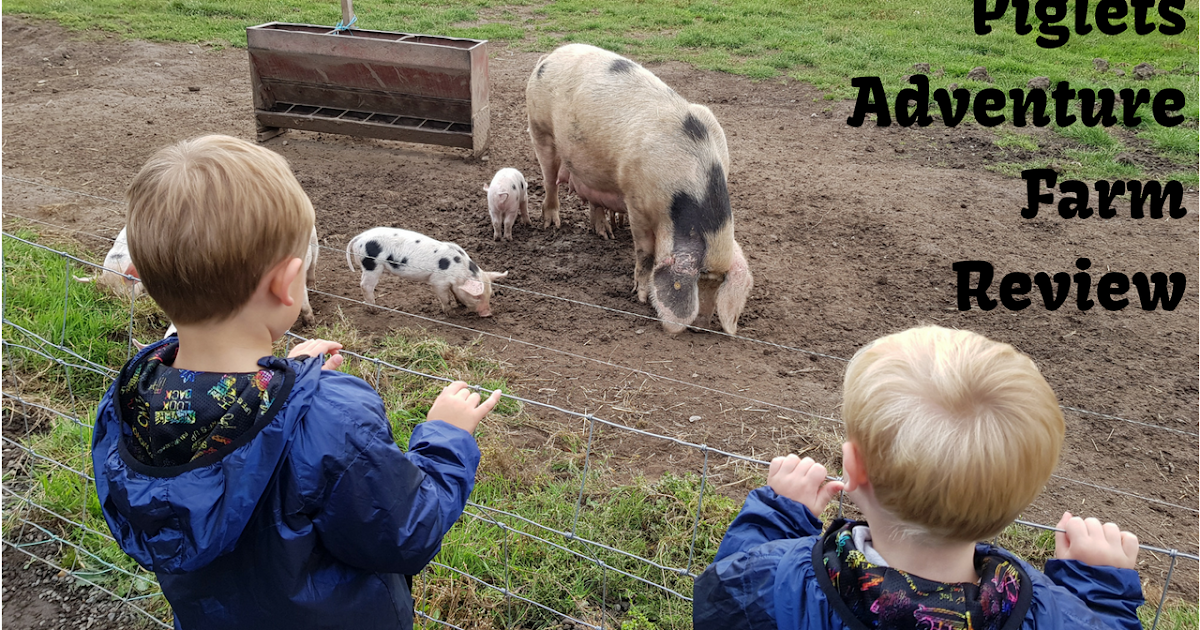 10 Things You Need To Know Before Visiting Piglets Adventure Farm In