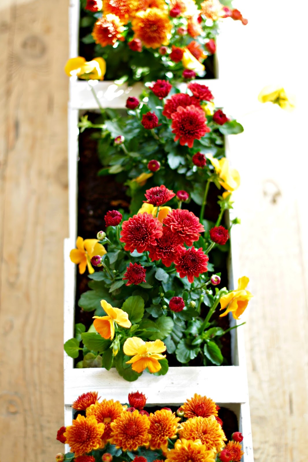 Tabletop Wood Shim Planter Box Infarrantly Creative