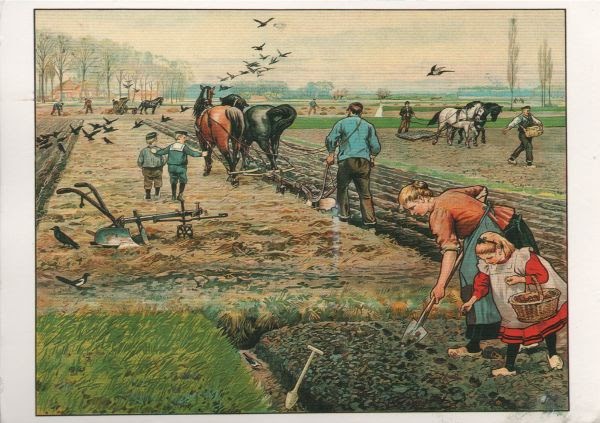 A Postcard a Day: Farming
