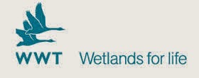 Wildfowl & Wetlands Trust (WWT)